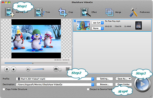 Convert SWF to iPad