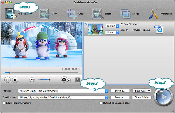 mkv codec for quicktime